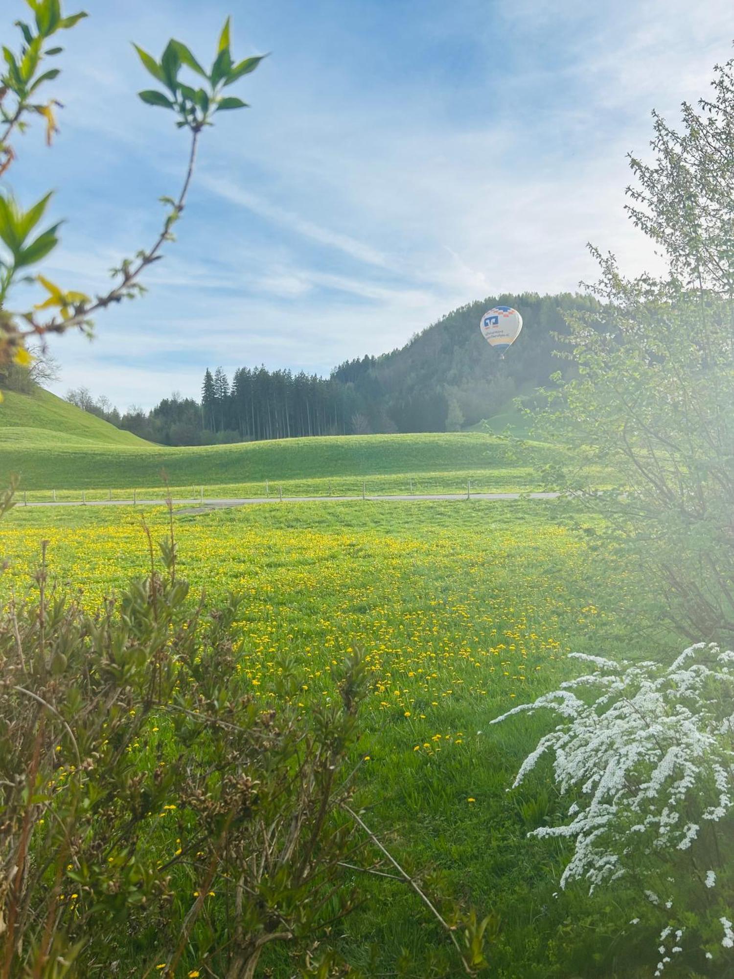 Schoenes Apartment Mit Traumhaftem Bergblick! Bihlerdorf エクステリア 写真