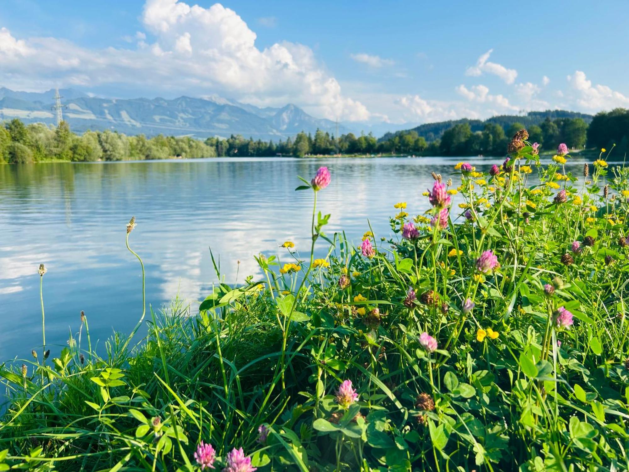 Schoenes Apartment Mit Traumhaftem Bergblick! Bihlerdorf エクステリア 写真