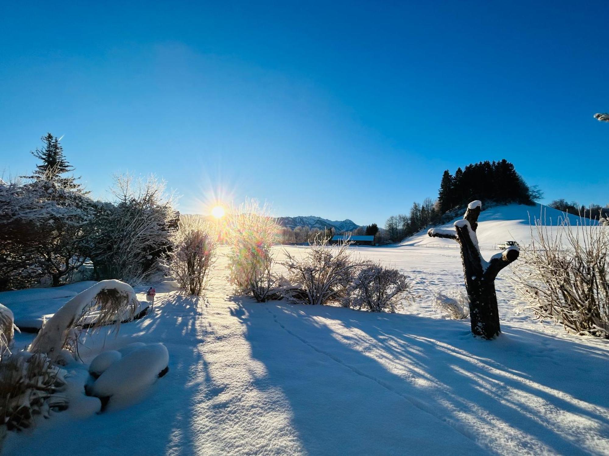 Schoenes Apartment Mit Traumhaftem Bergblick! Bihlerdorf エクステリア 写真