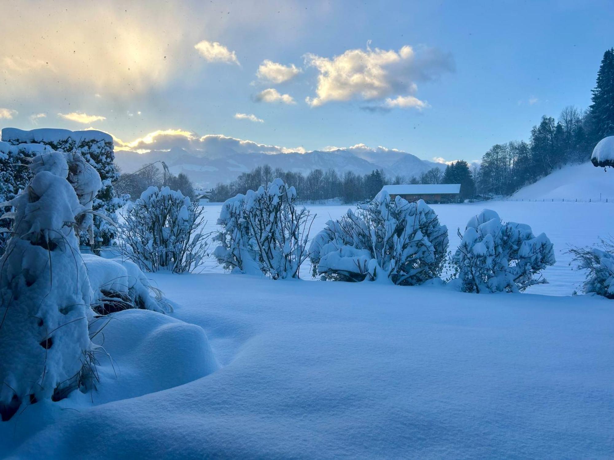 Schoenes Apartment Mit Traumhaftem Bergblick! Bihlerdorf エクステリア 写真